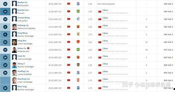 爆料中国球员名单最新版,中国球员名单大揭秘，实力派球员齐聚一堂