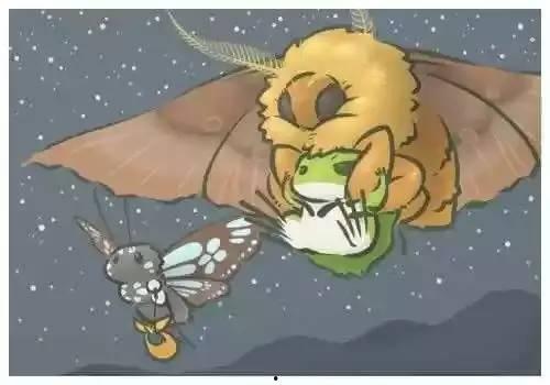 小蛙最新爆料,揭秘娱乐圈最新动态