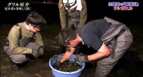 牛哥最新爆料视频,揭秘娱乐圈惊人内幕！